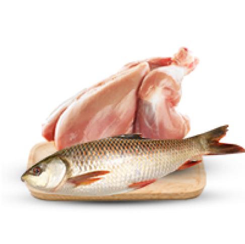 Viandes & Poissons