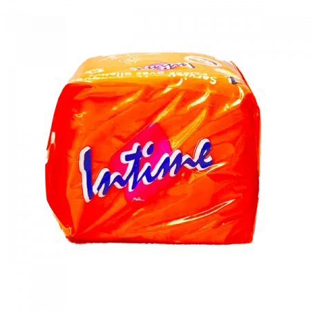 INTIME - Serviettes hygiéniques x14