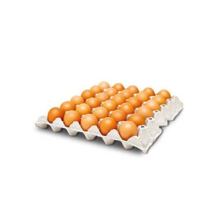 Plaquette d'œufs 30x50g